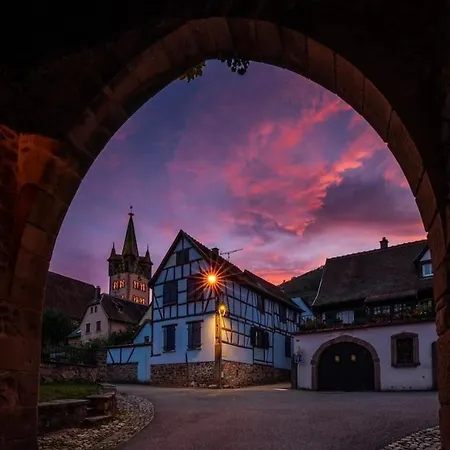 Apartment Le Petit Pelican Chatenois (Bas-Rhin)