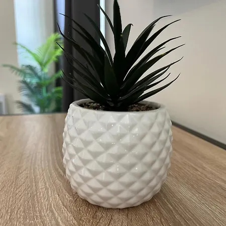 Le Petit Pelican Chatenois (Bas-Rhin)