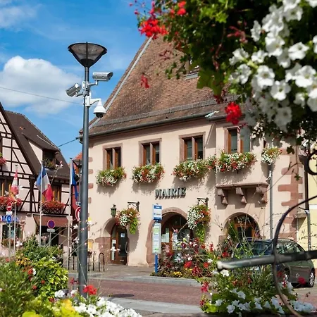 A Route Des Vins アパート Châtenois