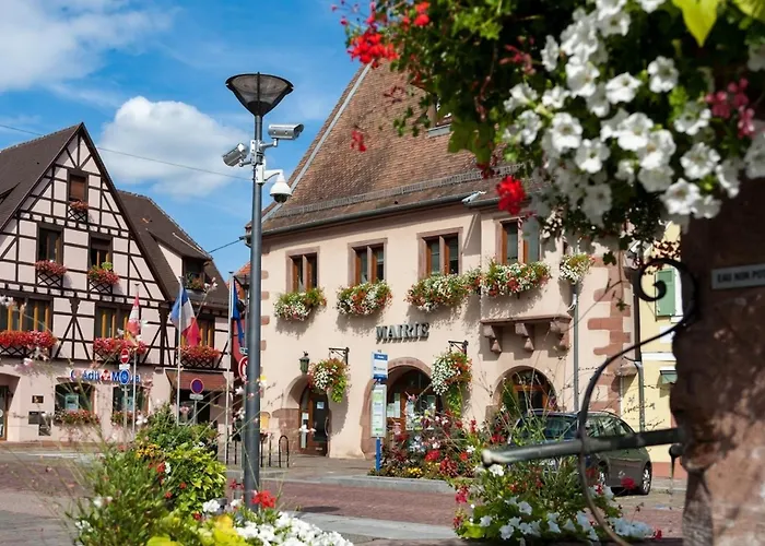 Le Petit Pelican Apartment Chatenois (Bas-Rhin)